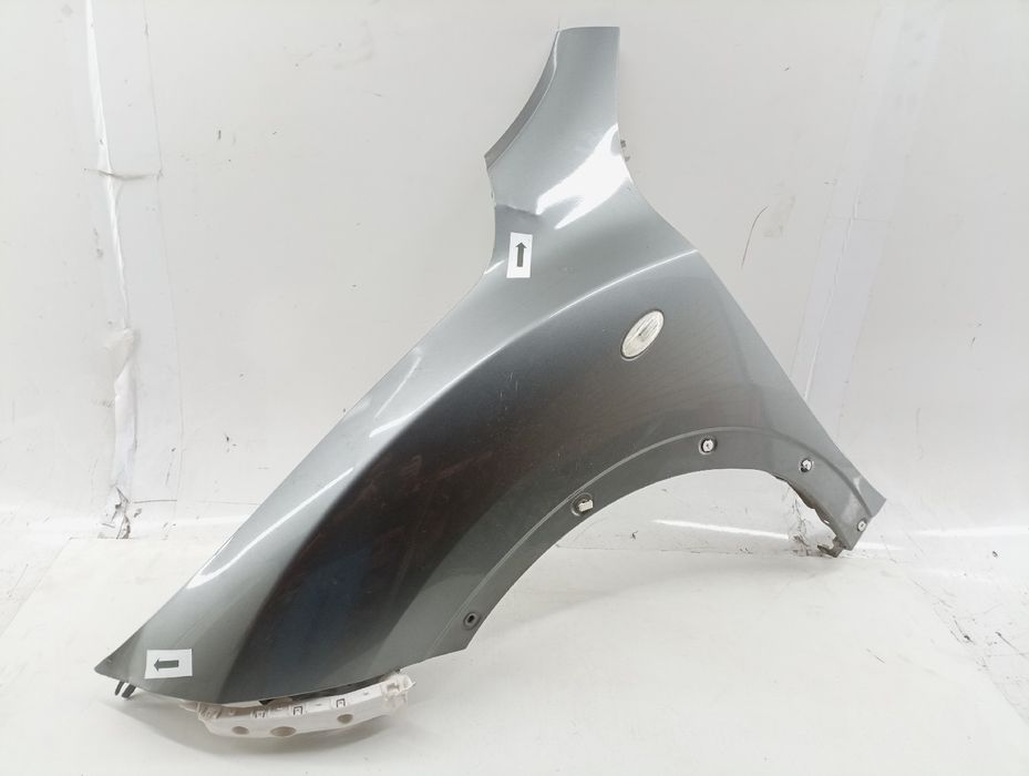 Guarda Lamas Esquerdo - NISSAN JUKE (F15) | 10 -