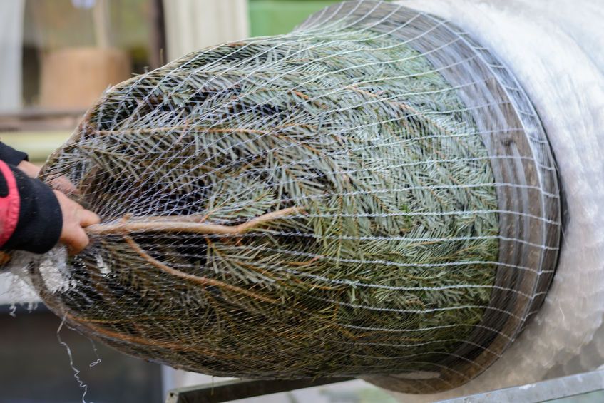 Mocna siatka na choinki LZ25 25cm Rękaw do pakowania choinek iglaków