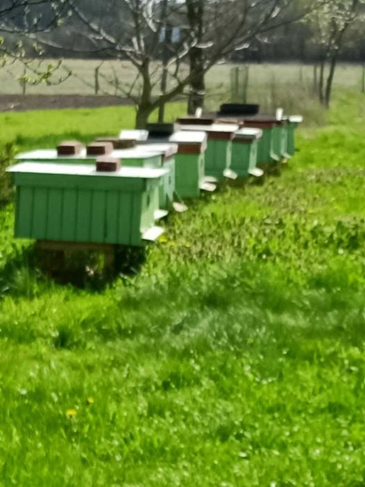 Sprzedam ule samorobione (puste)