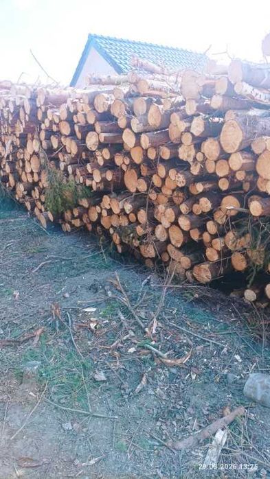 słupki drewniane podpory stemple ogrodzeniowe budowlane