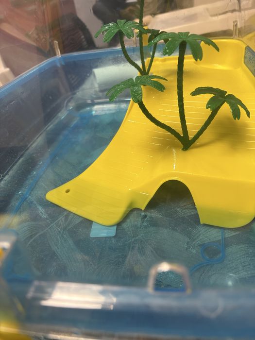 Tartarugueira tudo incluso