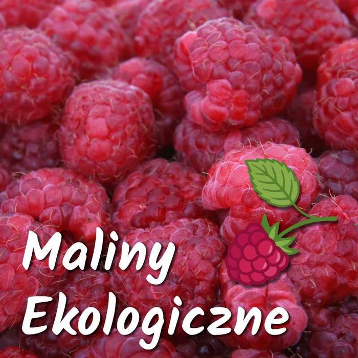 Maliny Ekologiczne (owoce)