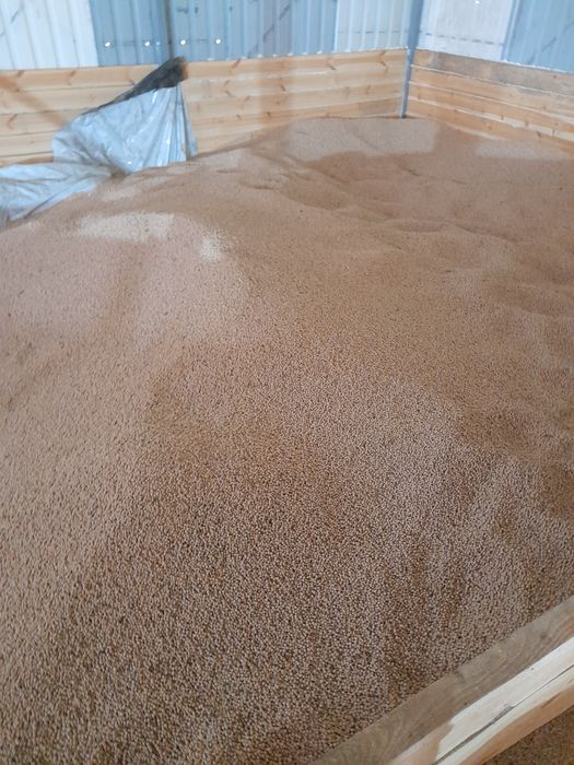Продам Сою насіння соя