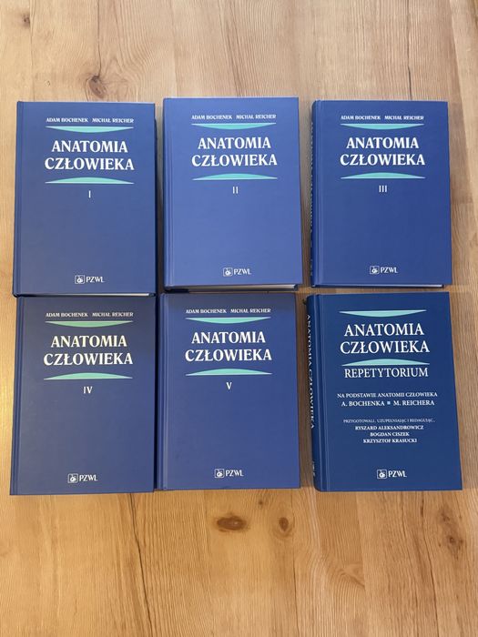 Anatomia człowieka  zestaw wraz z repetytorium