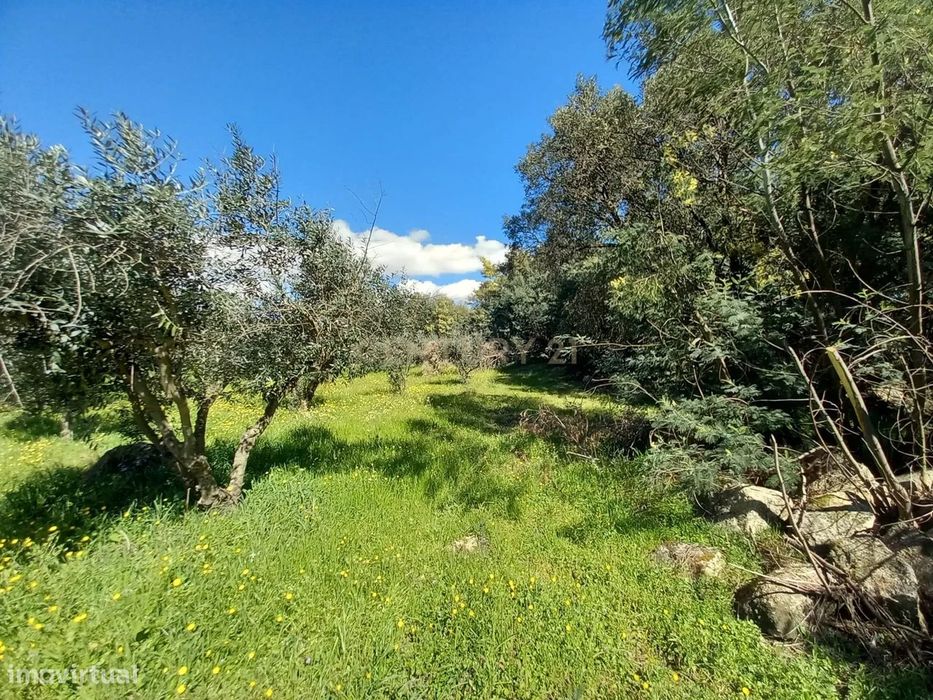 Quinta com 24750m2 Louriçal do campo