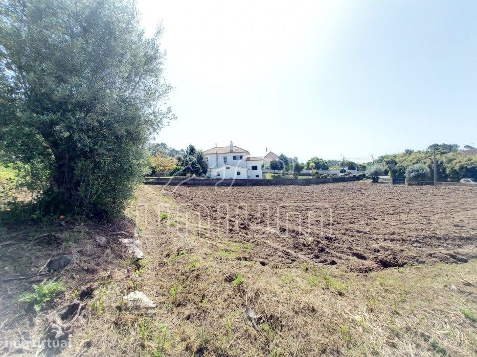 TERRENO - Nogueira, Viana do Castelo