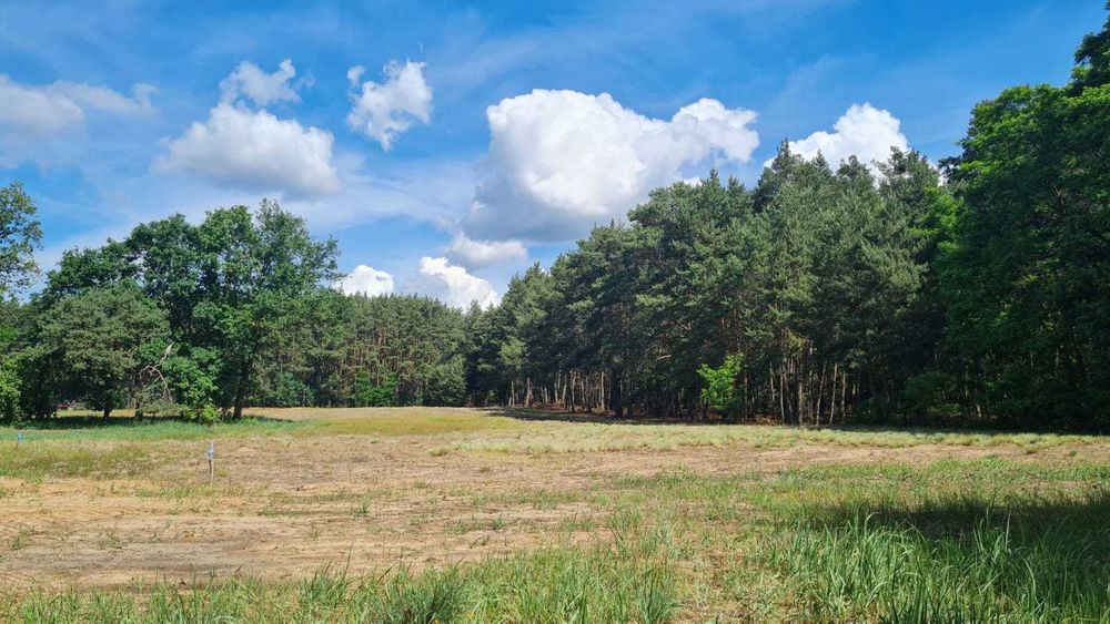 DZIAŁKA BUDOWLANA | BLISKO LASU | nr 115/3 | Borek | Sulechów | LUBUSKIE