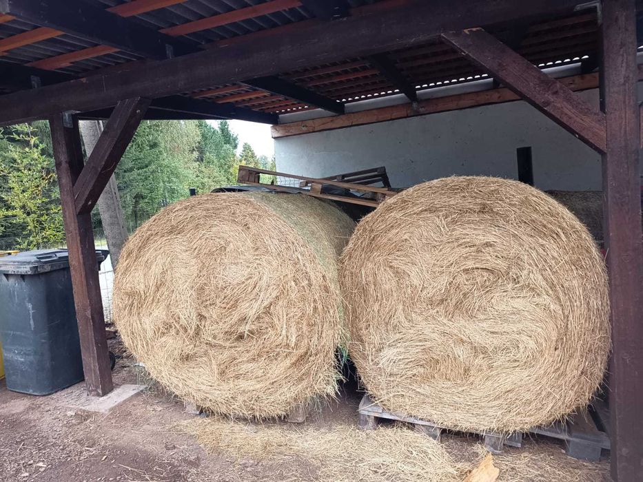 Sprzedam siano baliki