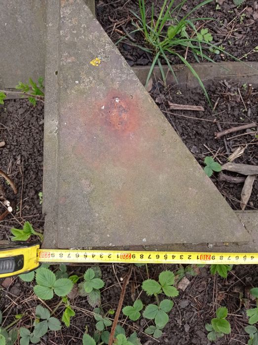 Роги до лісовоза