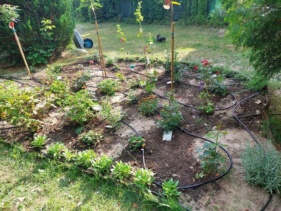 Zestaw nawadniania ogrodu linia kroplująca 50 m 16 mm