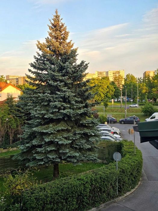 Mieszkanie – Warszawa, Nowe Górce, Bemowo - Widok 5