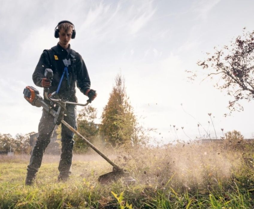 Desmatação de terrenos