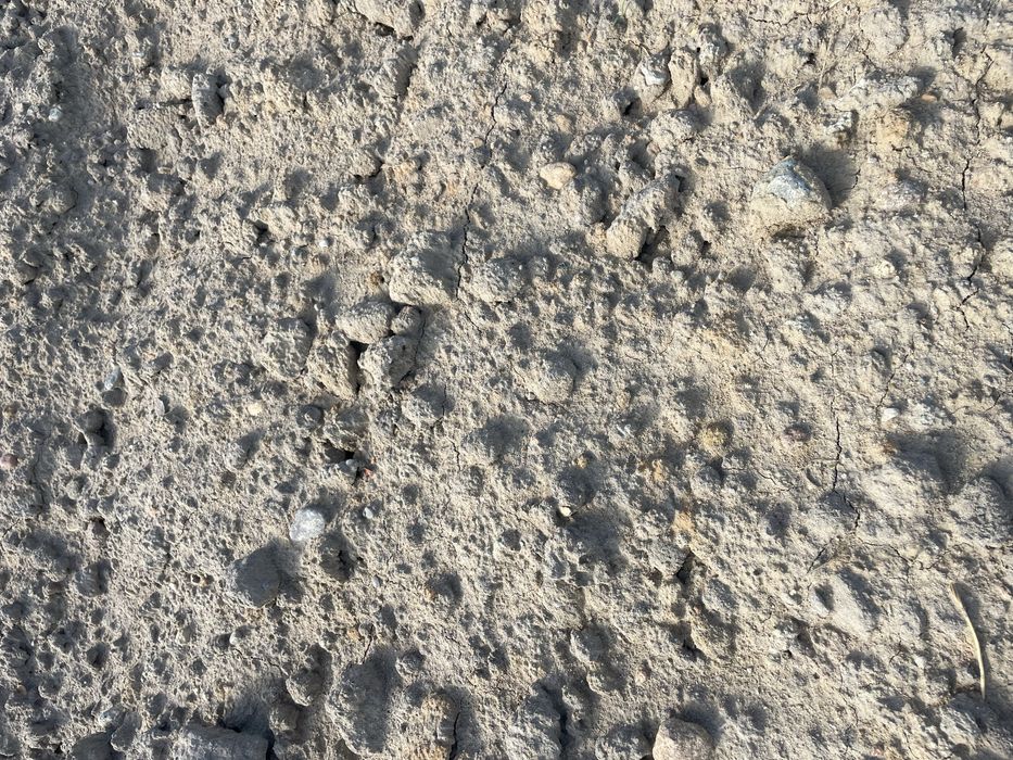 Oddam ziemie z wykopu stawu za darmo