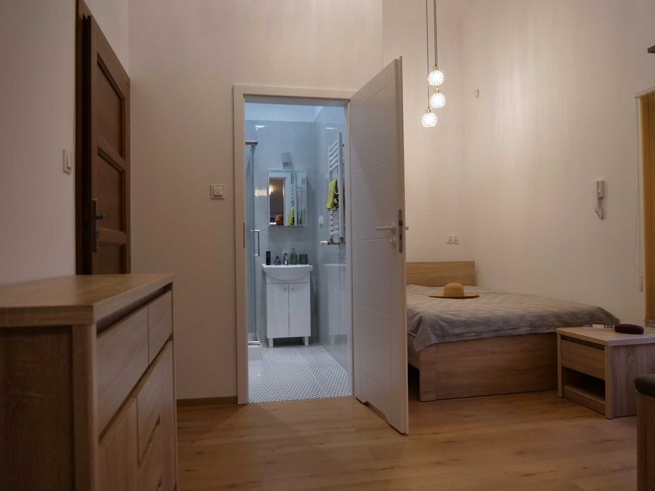 Apartment in Toruń, Przedmieście Świętej Katarzyny, Stare Miasto - View 2