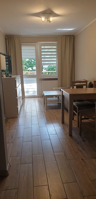 2 pokoje z balkonem w Centrum Świdnicy - Widok 3