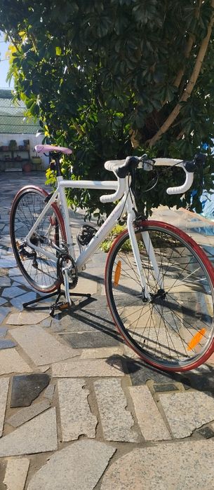 Bicicleta viking elysee excelente estado