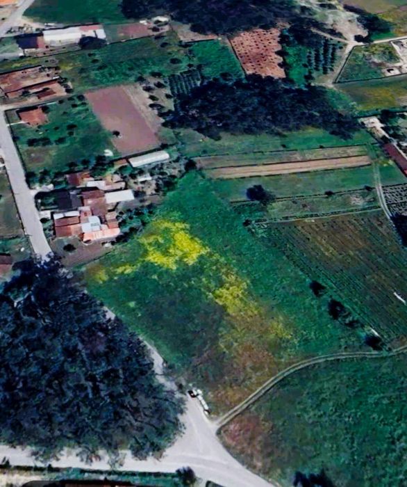 Terreno 7.000m² p/ Construção – Bouça de Cá, Bajouca | Índice 0.5