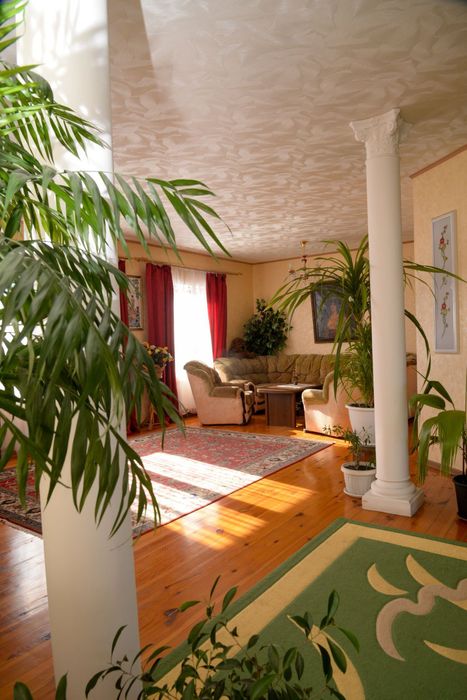 Продам будинок Святопетрівське