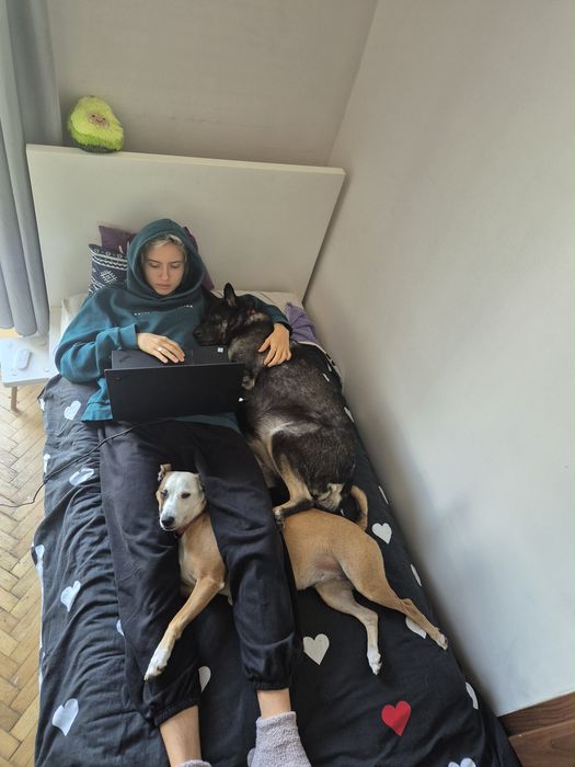 Opiekunka/niania/petsitter do zwierząt