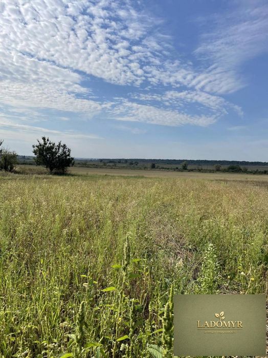 Продаж / Земля під інд. будівництво / Центральна, Новомильськ