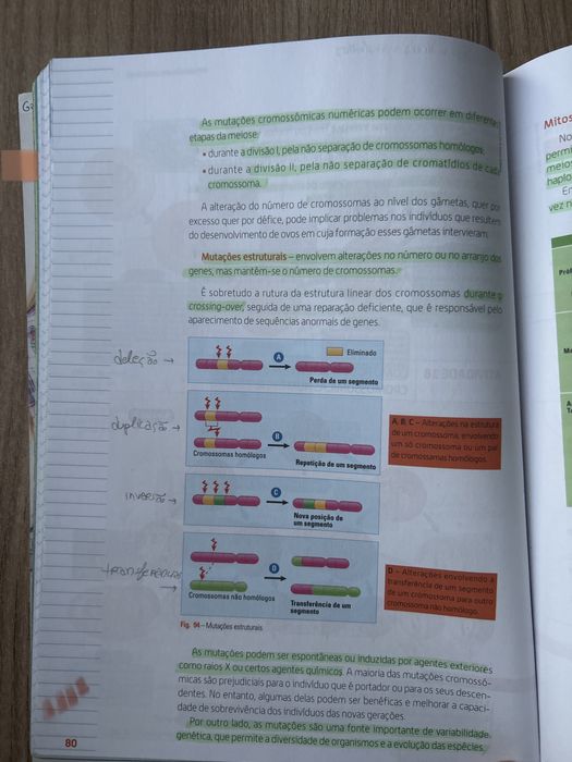 Manual Terra, Universo de Vida - Biologia e Geologia - 1ª Parte 11 ano