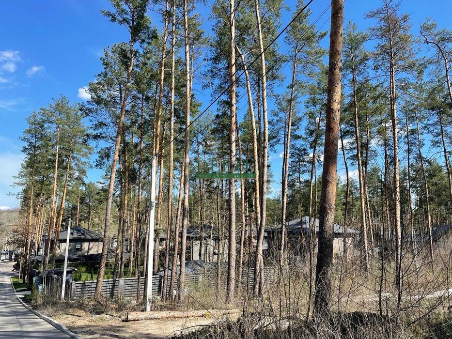 Продаж нового будинку в лісі з басейном. Ходосіка