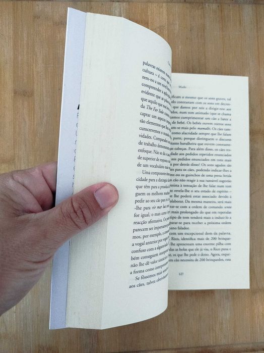 Cão - O Que Vê, Cheira e Sente de Alexandra Horowitz