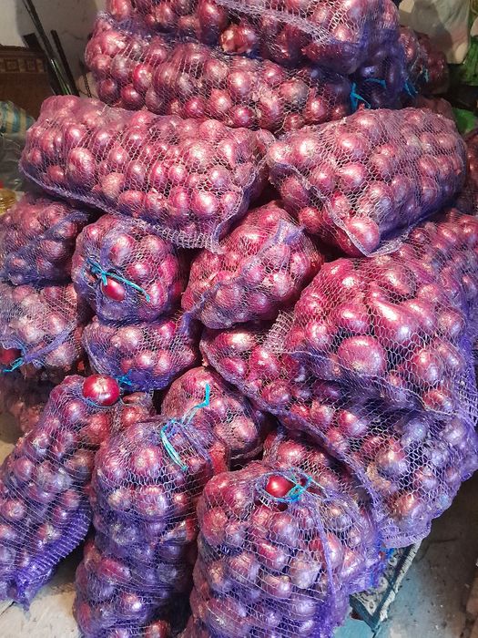 Синя цибуля,Недорого