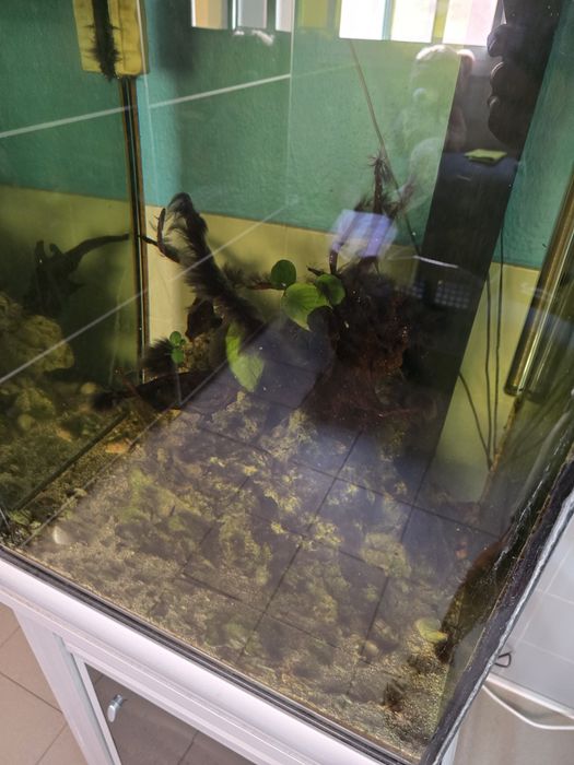 Aquario Cubo com sump Sunsun em alumínio/PVC Agua Salgada/Agua doce