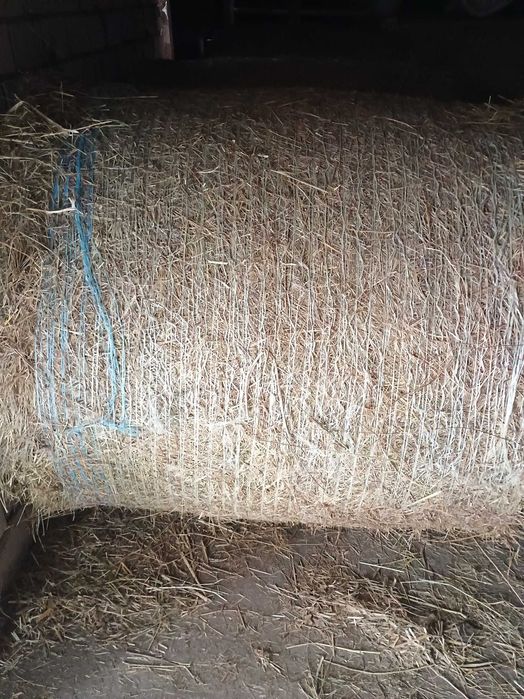 Sprzedam siano lub słomę