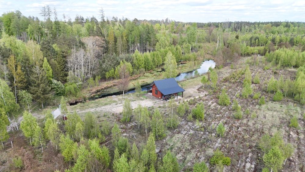 Bory Tucholskie Domek i dz. 1,5ha z lasem - wynajem na wyłączność