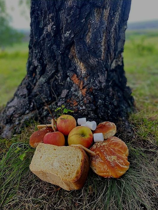 Діагностика і очищення, ритуaлu