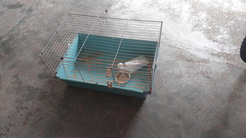 Gaiola para coelhos