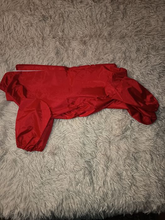 Дощовик для собаки