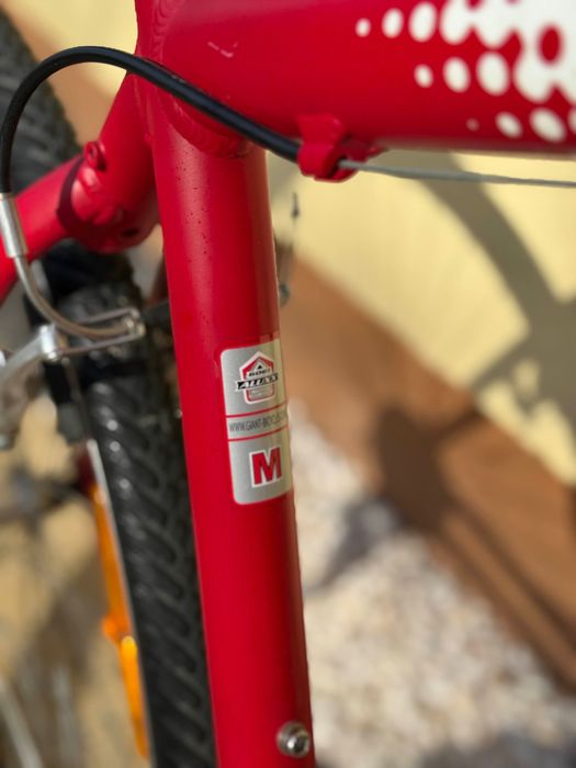 Rower Gravel Giant Queens Park