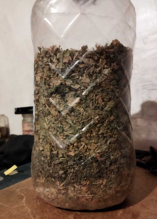 Петрушка сушена домашня