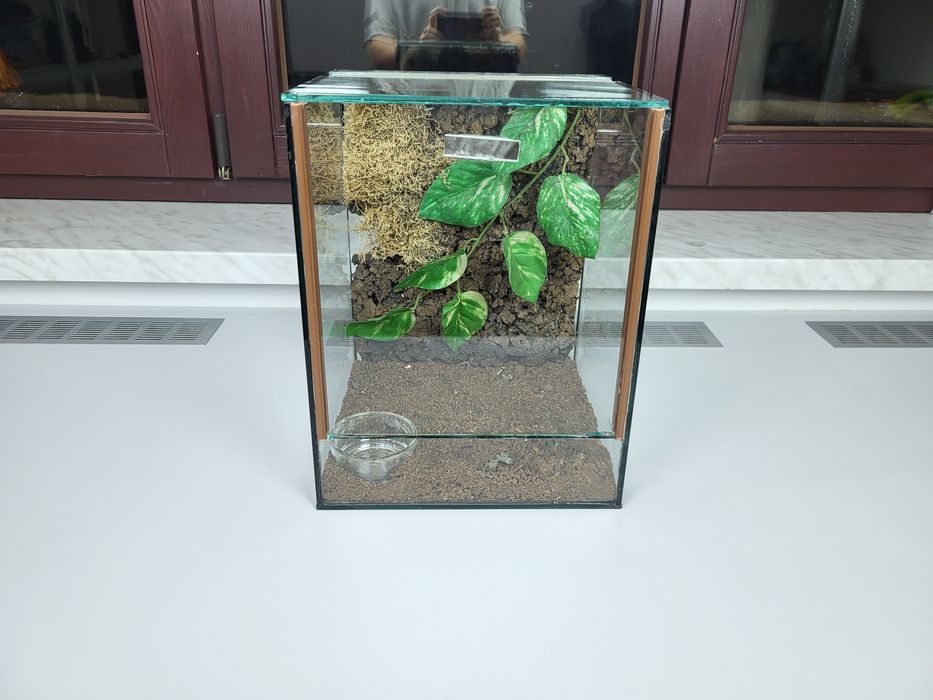 Szklane terrarium 31 x 22,5 x 24,5cm ze ścianką