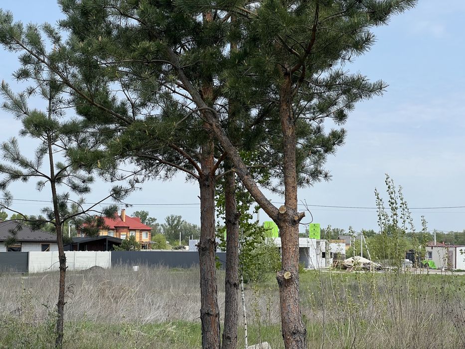 Пр уч 12с Зазимье Сады рай Авоськи