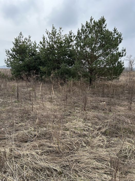 Рожівка, 8км від Броварів, продам ділянку під будівництво 20с