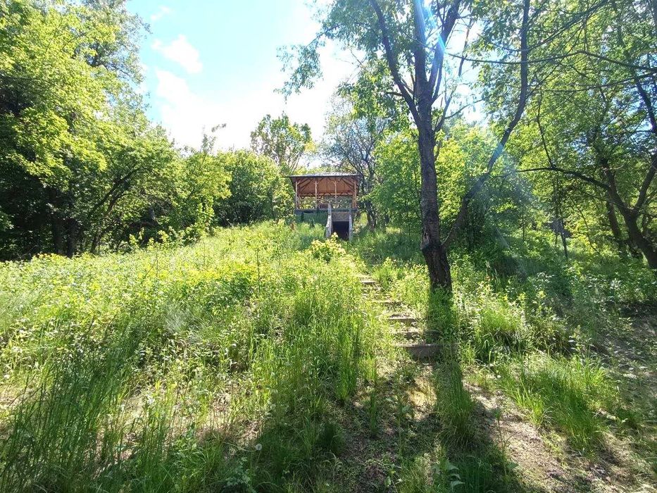 Без комісії! Продам будинок в Ходосівці в дуже мальовничому місці!