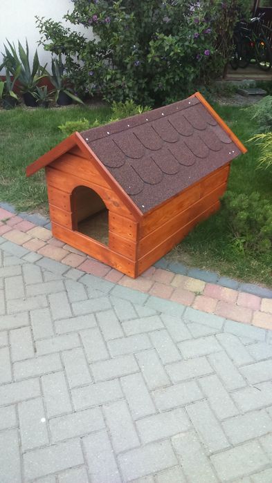 Buda dla średniego psa