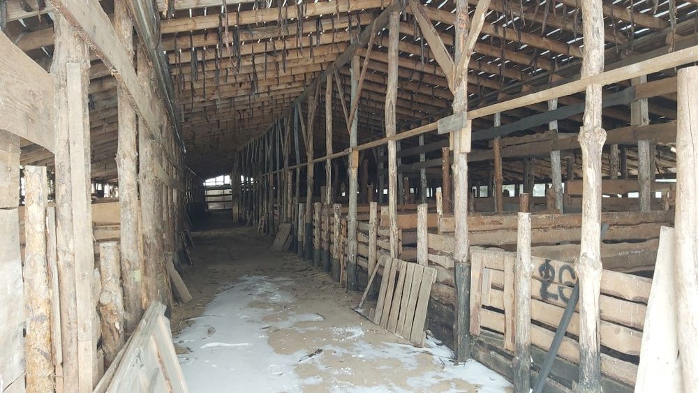 Продам  свиноферму у ліса +10 Га землі,  20 км від Чернігова.