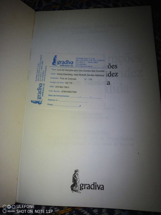 Livro de instruções para uma gravidez bem sucedida