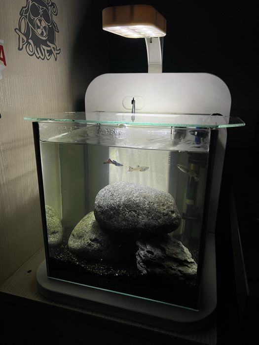 Aquario Aquatlantis c/base