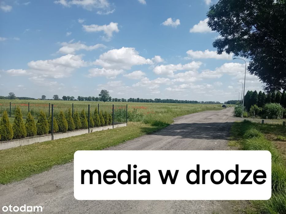 Działka budowlana pod Oleśnicą - Widok 5