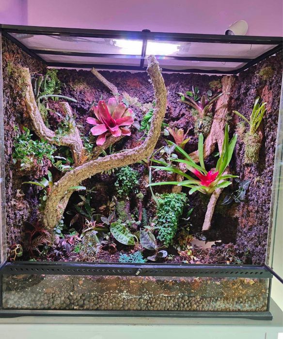 Terrarium OKAZJA