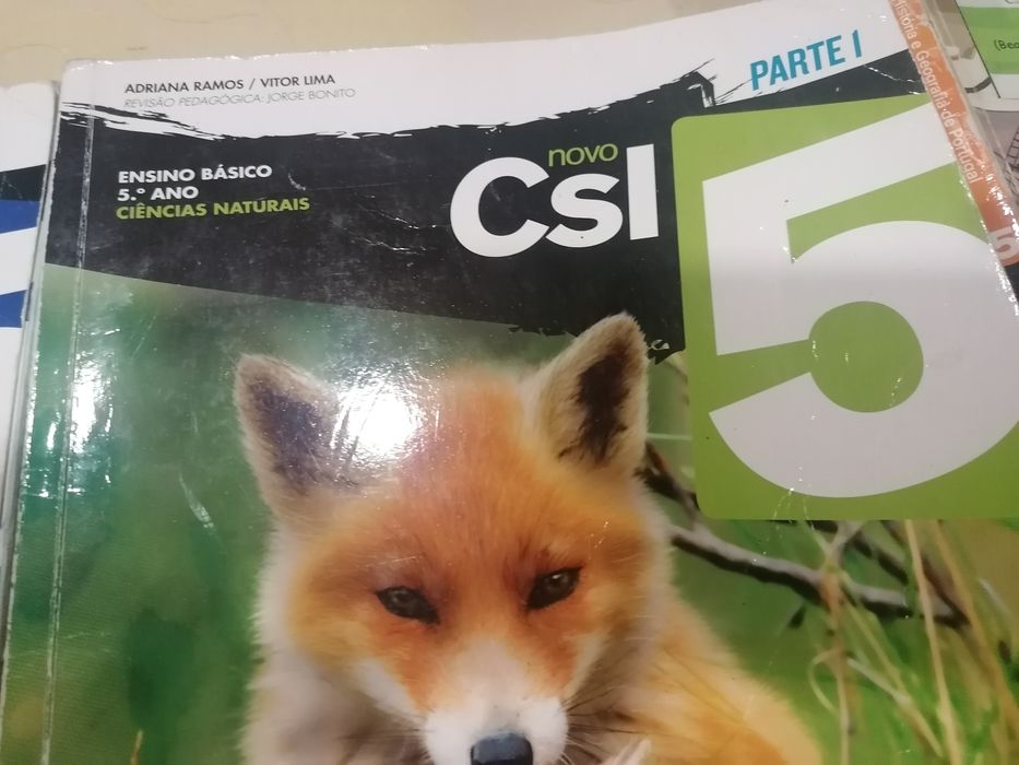 Manuais escolares do 5 ano