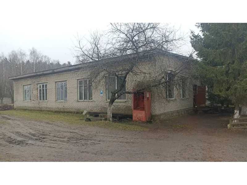 'Продаж майнового комплексу (деревообробка) 267,1 кв. м, вул. Незалежності, 124