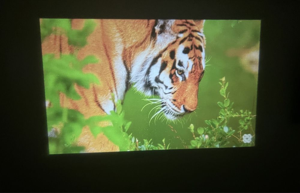 Проектор Magcubic HY300 pro Дропшипінг. ОПТ