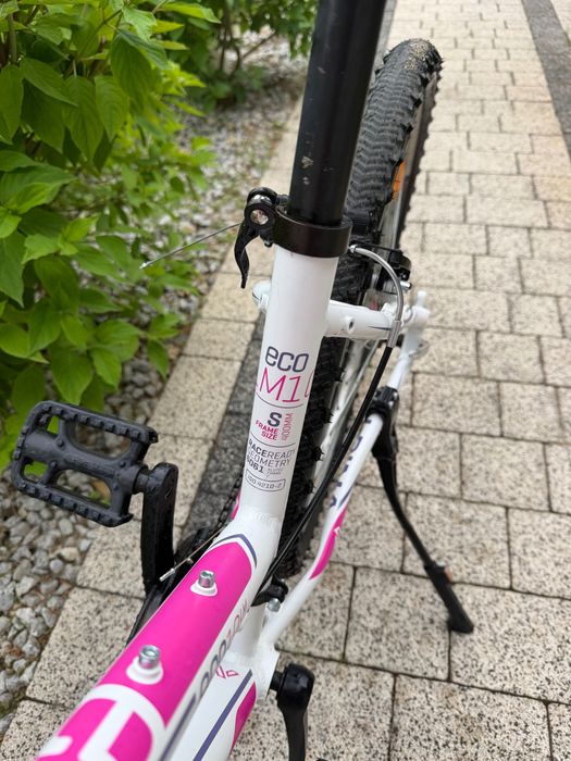 Rower młodzieżowy ALPINA eco lm10 biały z różowymi akcentami, 26-calowe koła